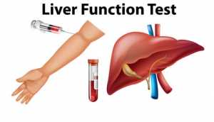 LIVER FUNCTION TEST