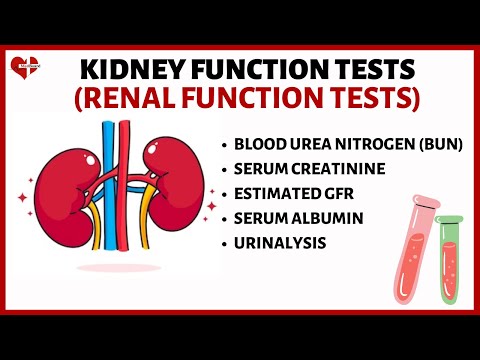 KIDNEY FUNCTION TEST
