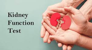 KIDNEY FUNCTION TEST