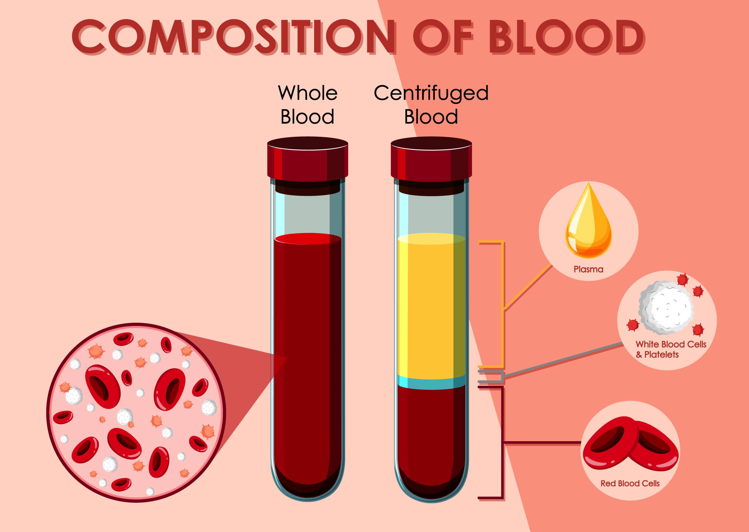 LIPID PROFILE TEST