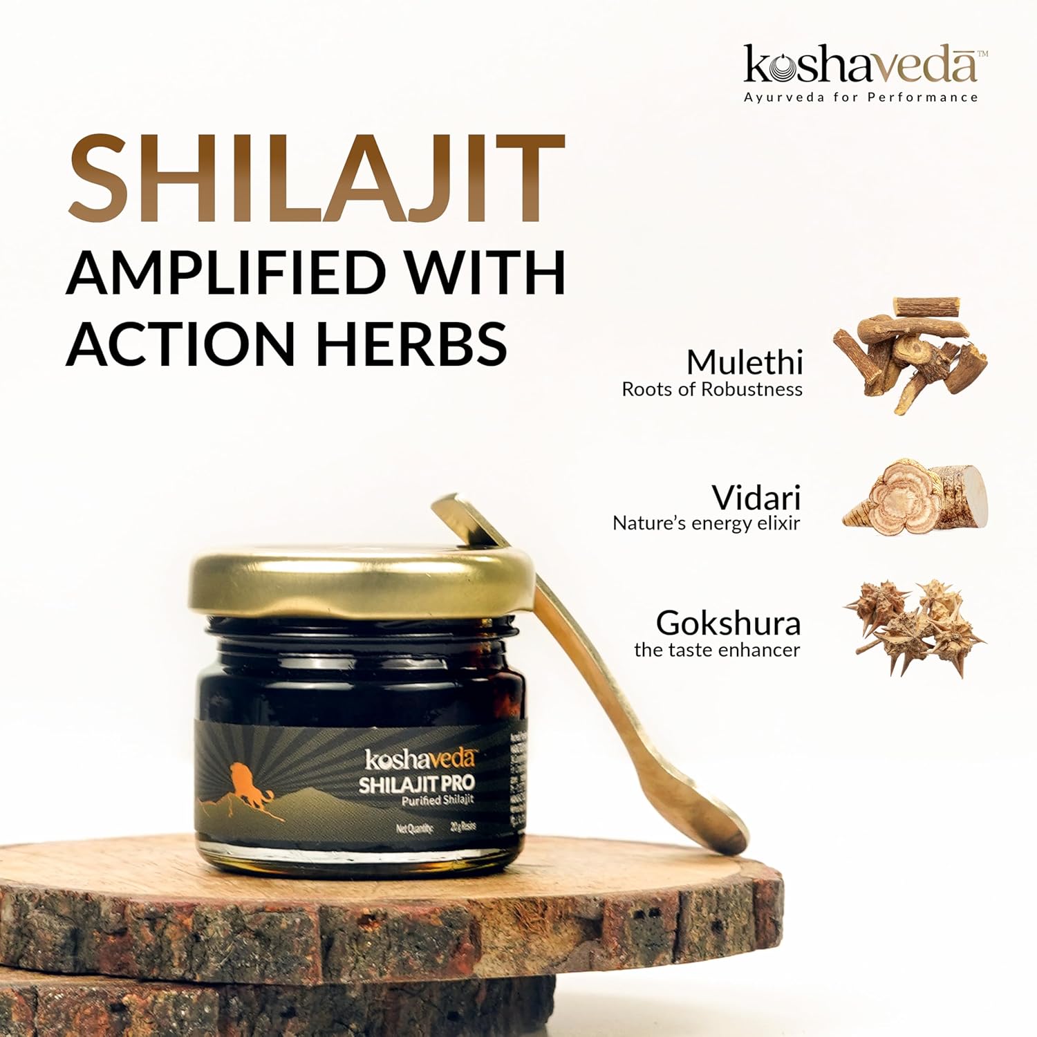 MUSCLEBLAZE KOSHAVEDA SHILAJIT PRO 20GM