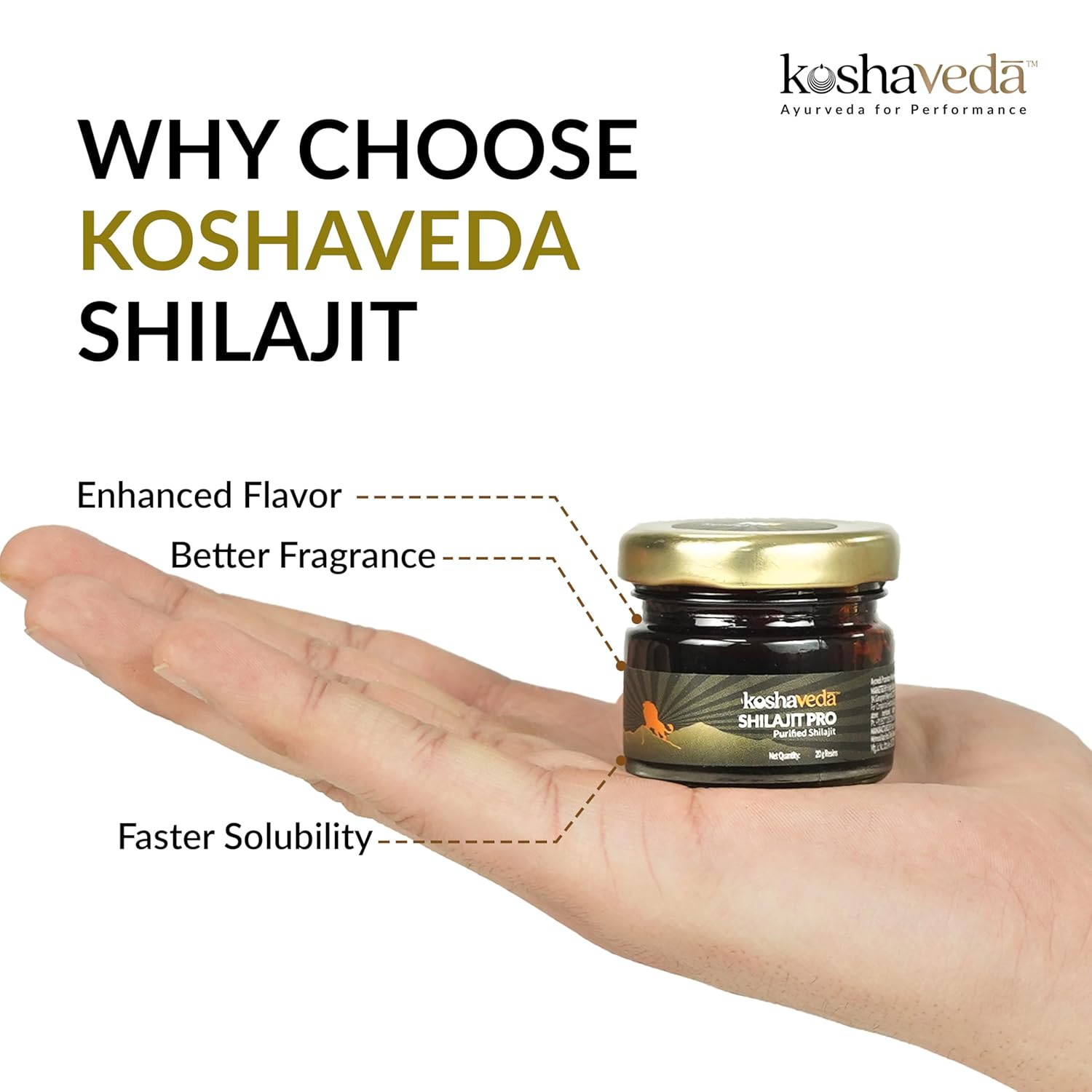 MUSCLEBLAZE KOSHAVEDA SHILAJIT PRO 20GM