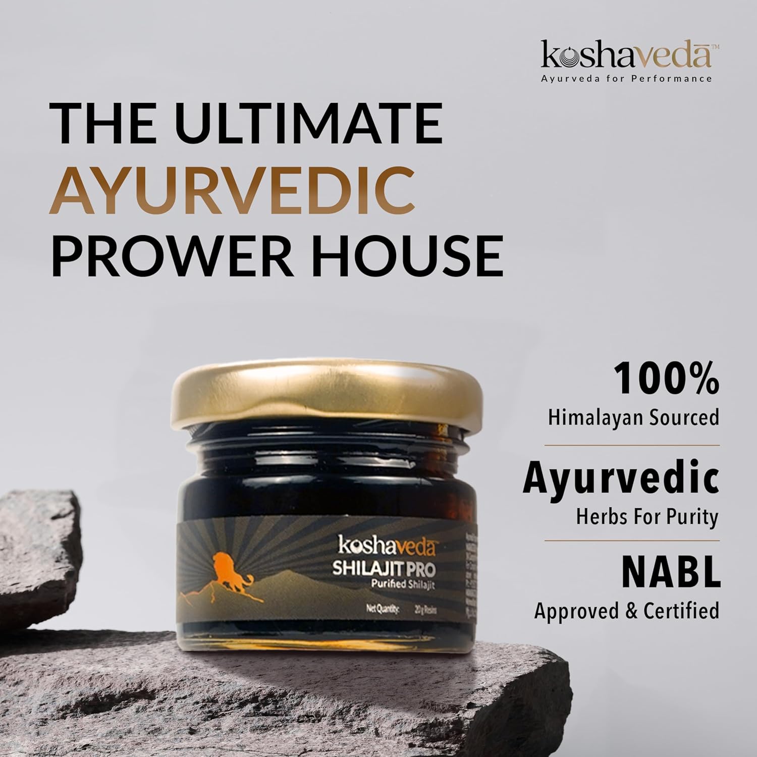 MUSCLEBLAZE KOSHAVEDA SHILAJIT PRO 20GM