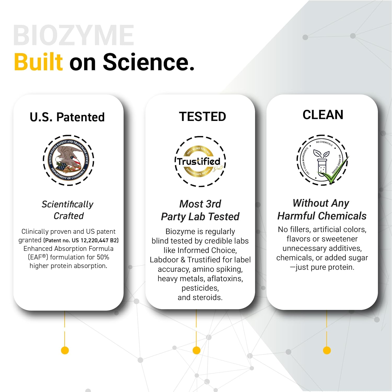 MUSCLEBLAZE BIOZYME PERFORMANCE WHEY 4.4 LB CHOCOLATE HAZELNUT