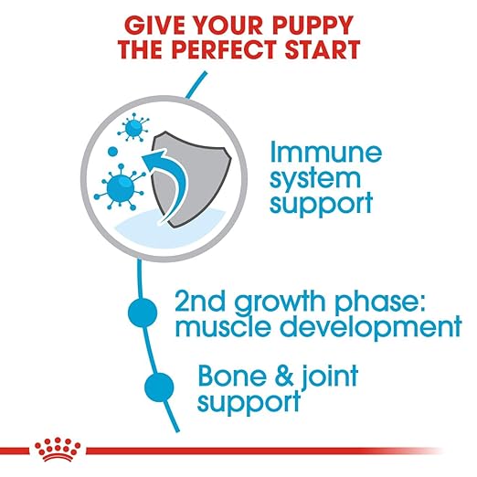 ROYAL CANIN GAINT JUNIOR SEED DOGS FOOD 15KG
