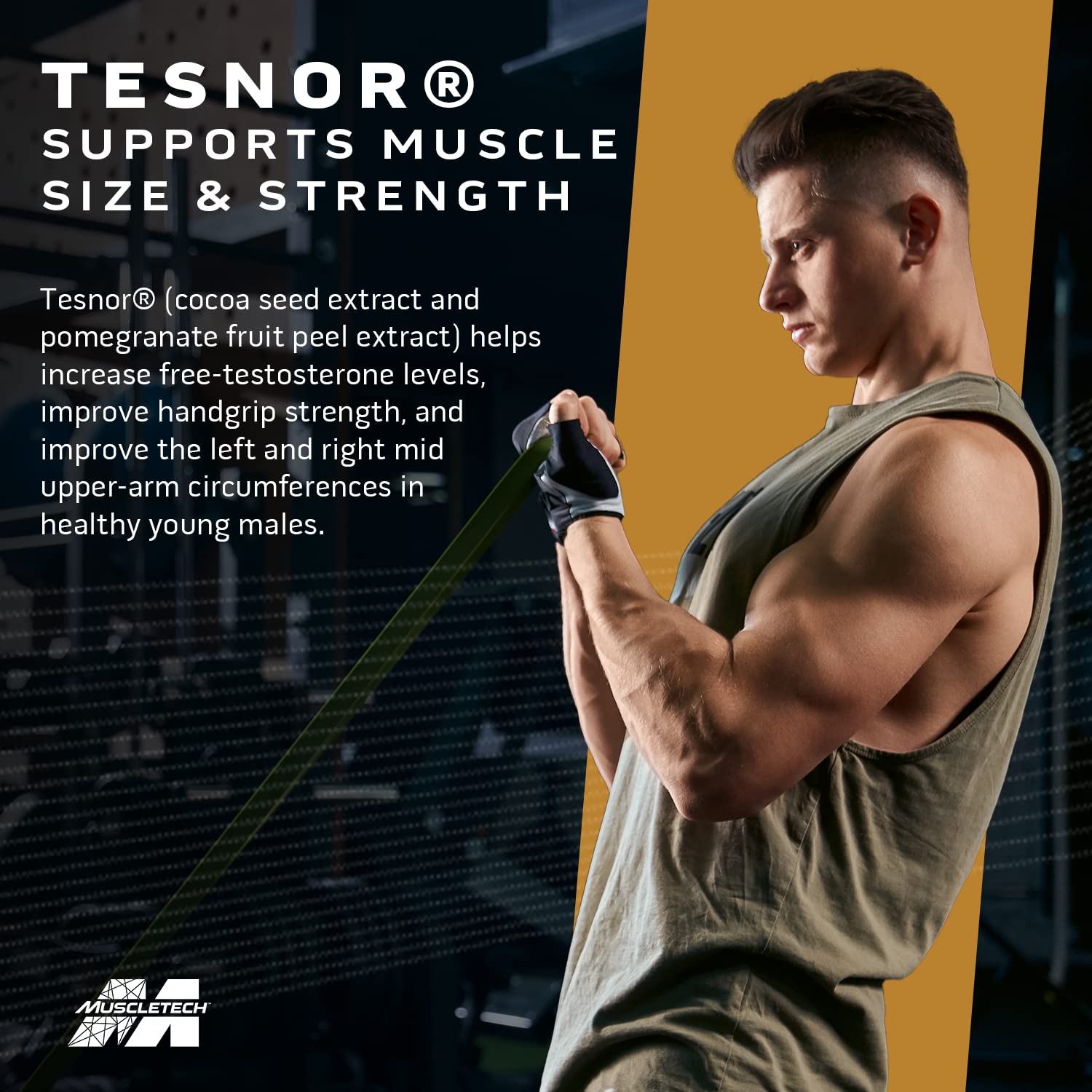 MUSCLETECH TEST HD ELITE TRIBULUS TERRESTRIS FOR MEN MAX-STRENGTH ATP & TEST BOOSTER 60 CAPSULES