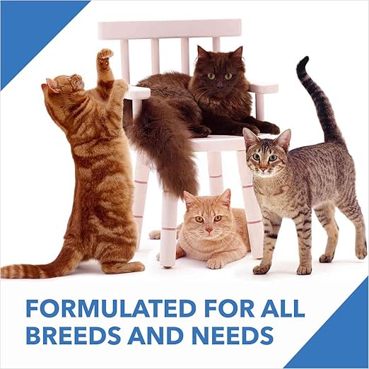 DROOLS ADULT DRY CAT FOOD OCEAN FISH, 20KG