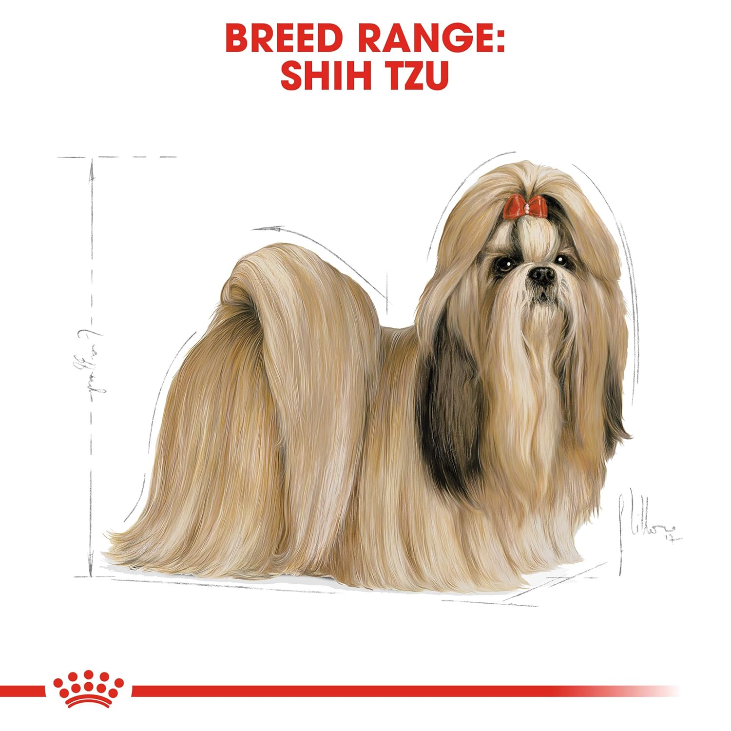 ROYAL CANIN SHIH TZU ADULT, 3KG