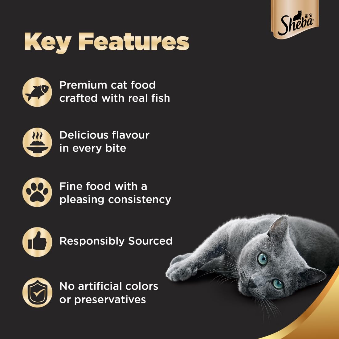 SHEBA FINE PREMIUM ADULT (1+ YEARS) WET CAT FOOD, TUNA PUMPKIN & CARROT IN GRAVY 70GM