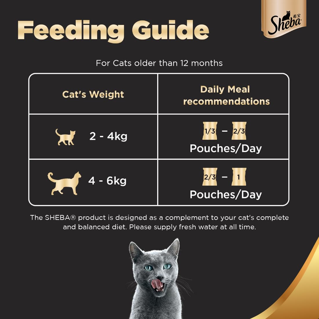 SHEBA FINE PREMIUM ADULT (1+ YEARS) WET CAT FOOD, TUNA PUMPKIN & CARROT IN GRAVY 70GM