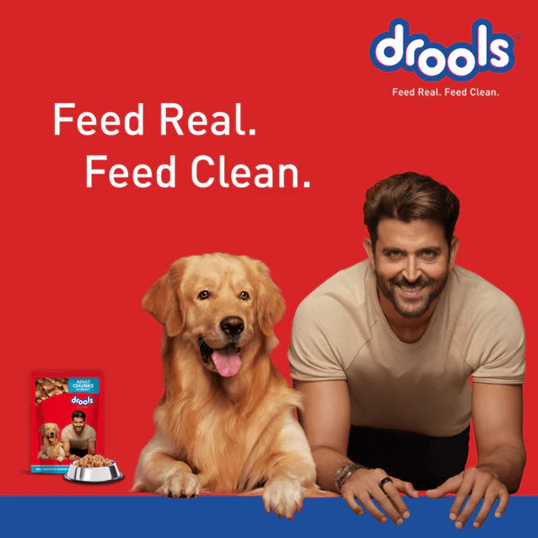 DROOLS REAL CHICKEN & CHICKEN LIVER CHUNKS IN GRAVY ADULT DOG WET FOOD 150GM
