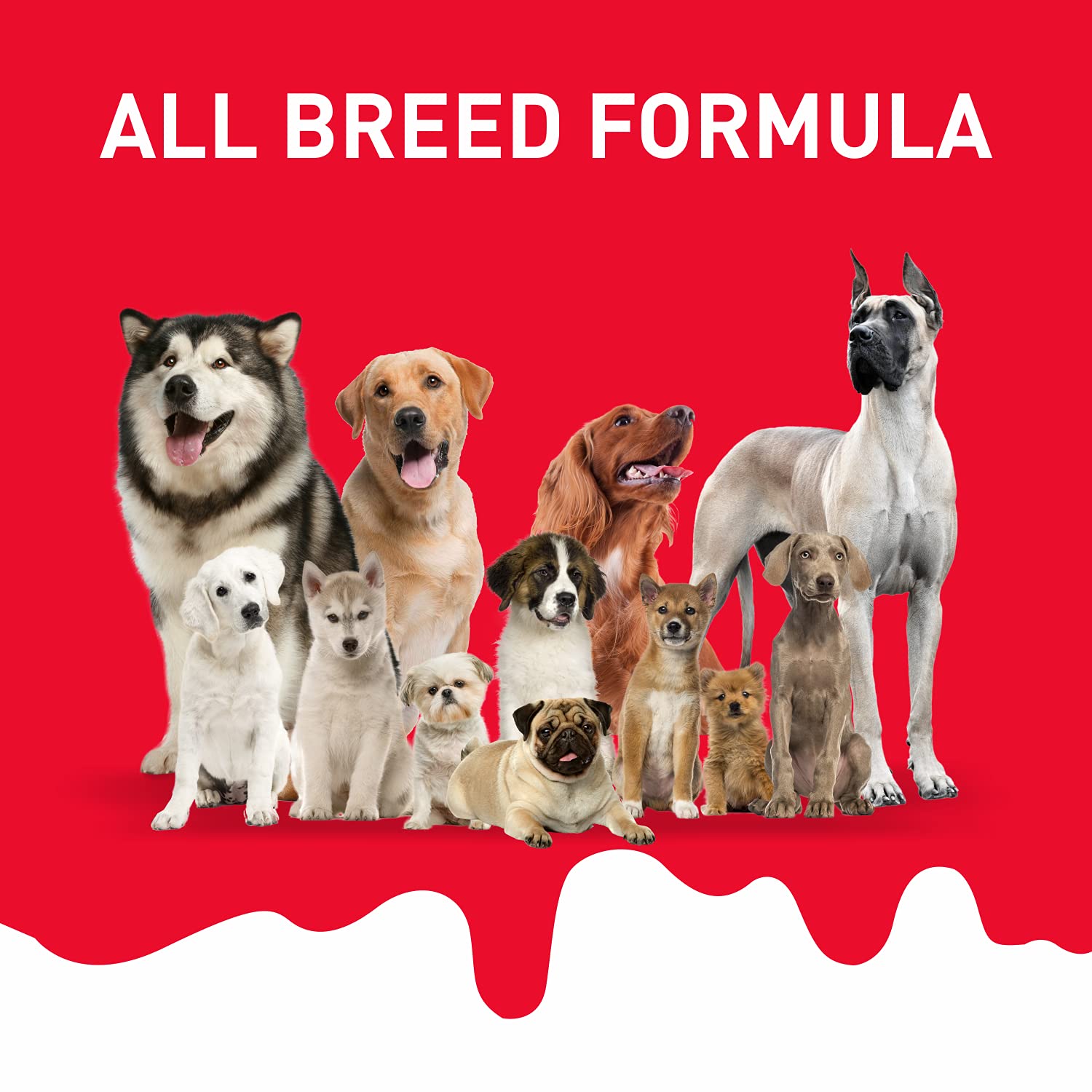 DROOLS ABSOLUTE DOG BONE TREATS, MILK FLAVOUR JAR, ALL LIFE STAGES 40 PEICES