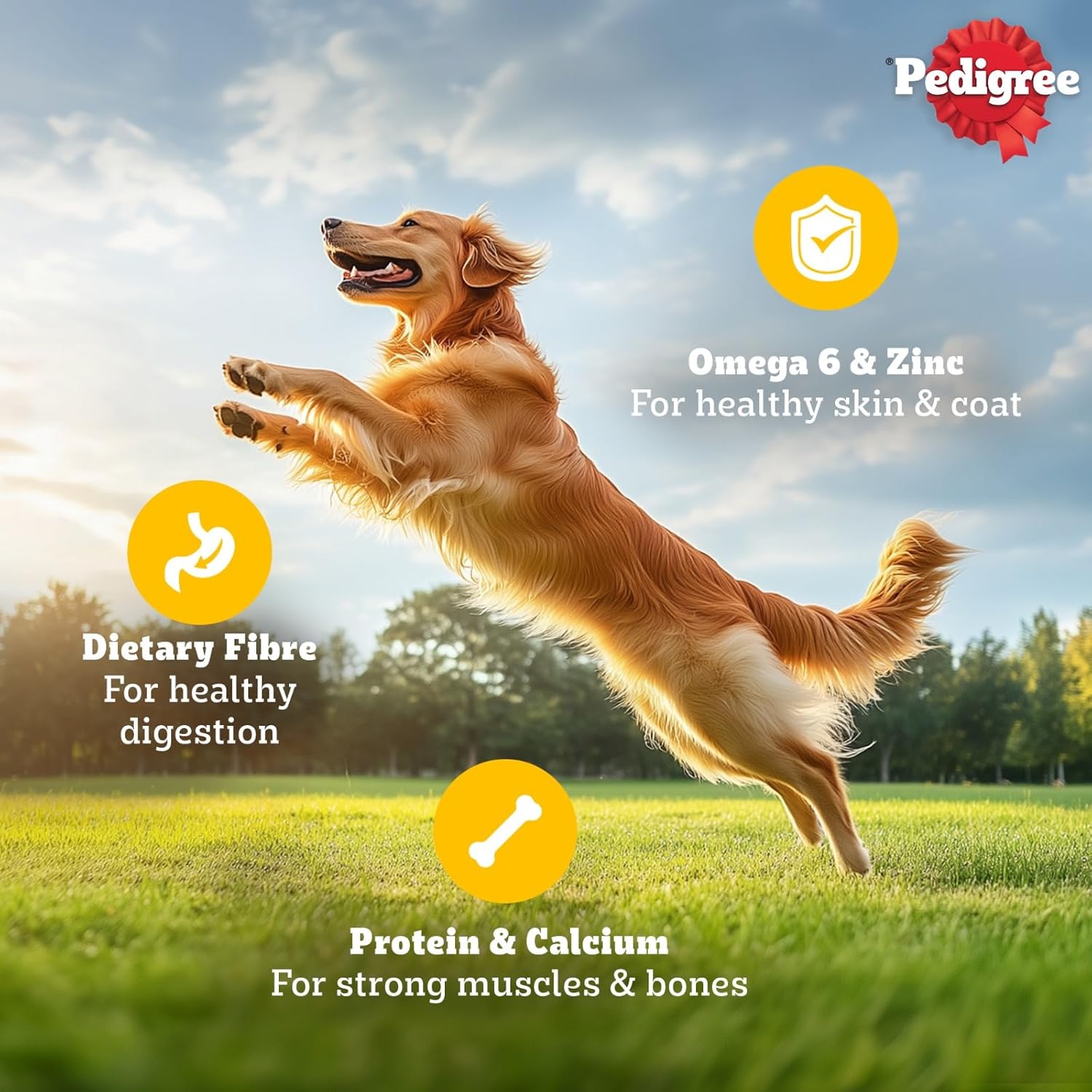 PEDIGREE ADULT WET DOG FOOD, CHICKEN LIVER & VEGETABLES CHUNKS IN GRAVY, 70GM