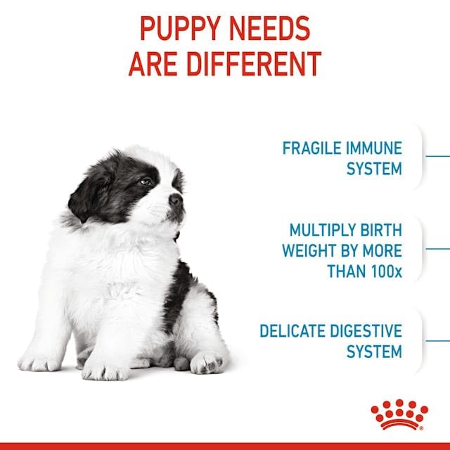 ROYAL CANIN GIANT PUPPY DRY DOG FOOD, CHICKEN 3.5 KG