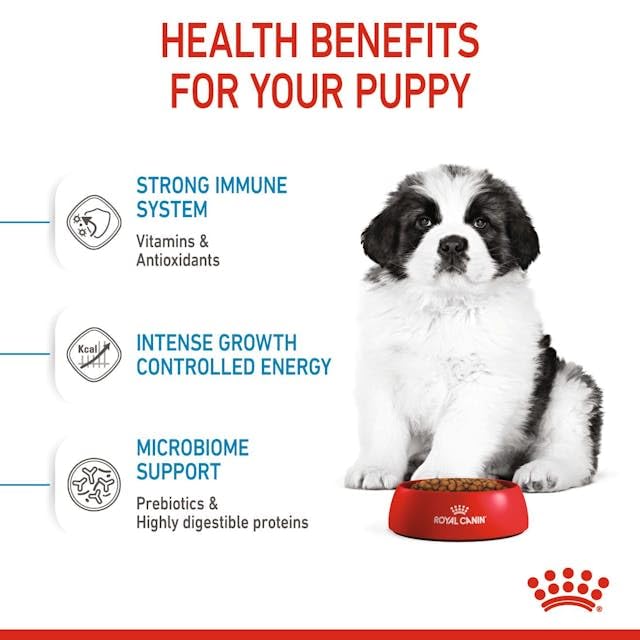 ROYAL CANIN GIANT PUPPY DRY DOG FOOD, CHICKEN 3.5 KG