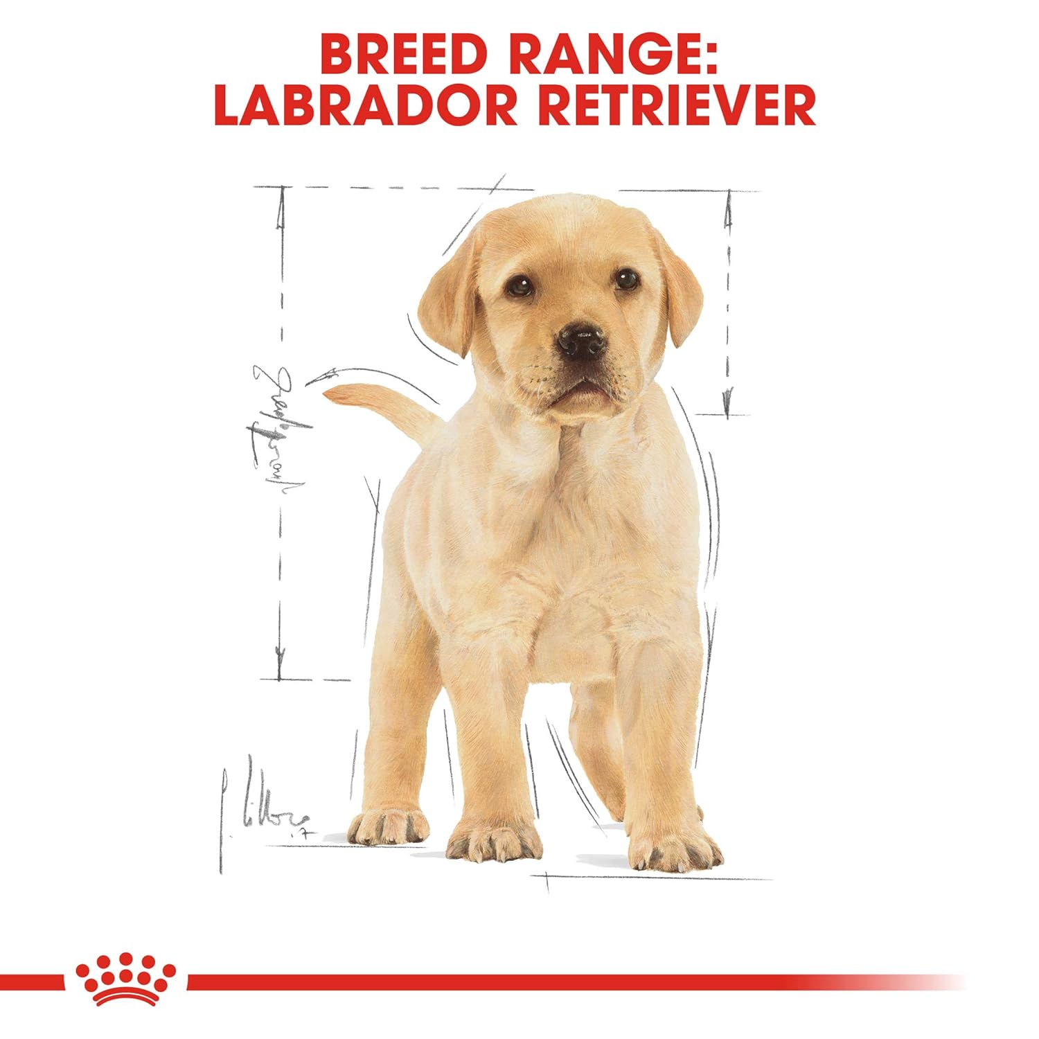 ROYAL CANIN LABRADOR RETRIEVER PUPPY DRY DOG FOOD MEAT FLAVOUR 3KG