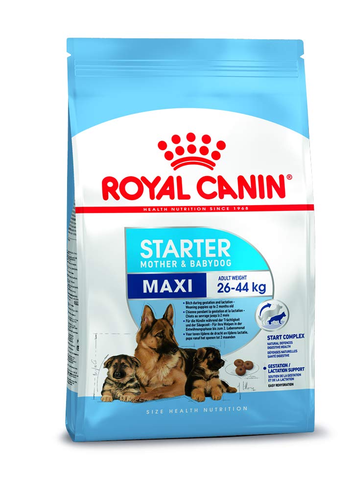 ROYAL CANIN MAXI STARTER PELLET DOG FOOD, MEAT FLAVOUR 4 KG