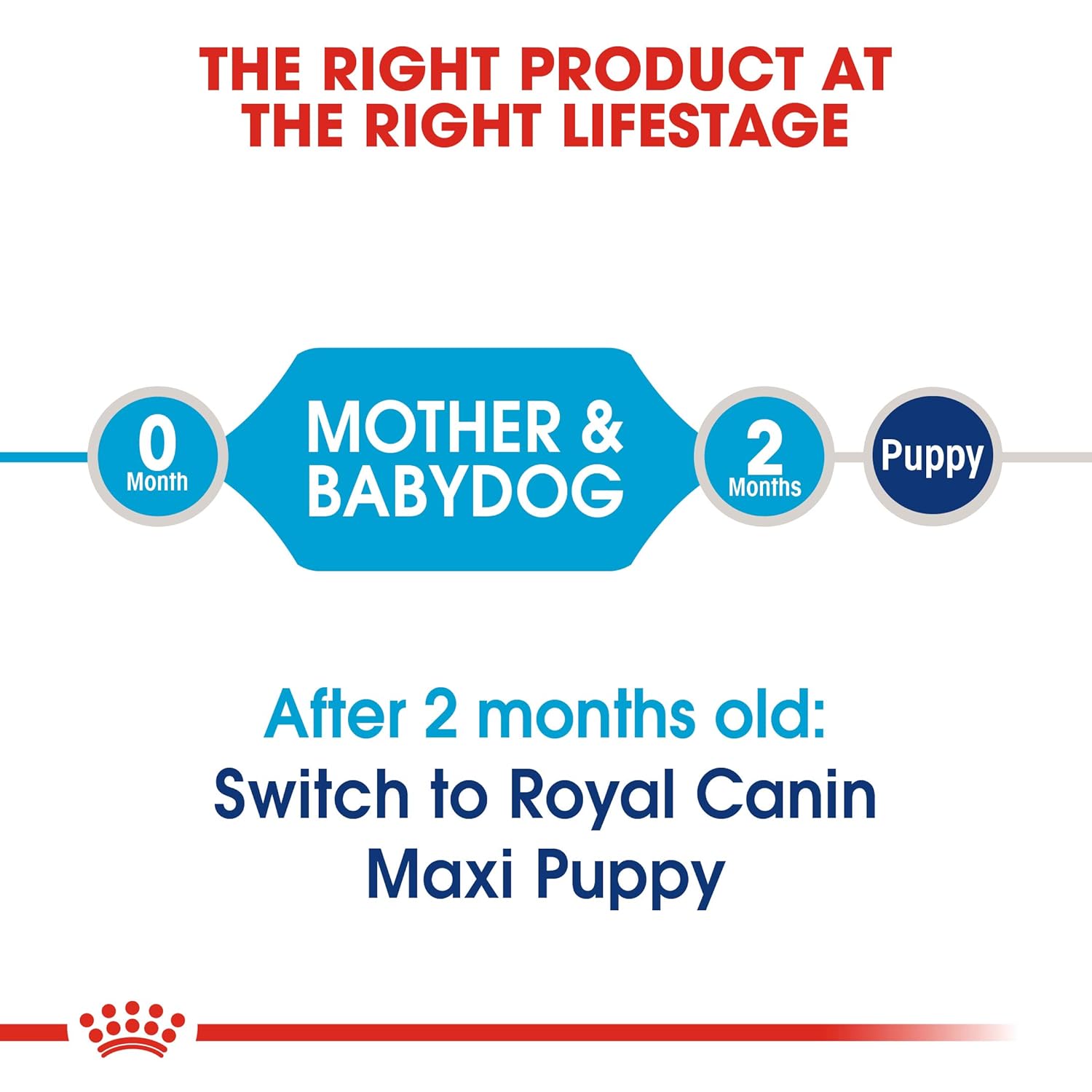 ROYAL CANIN MAXI STARTER PELLET DOG FOOD, MEAT FLAVOUR 4 KG