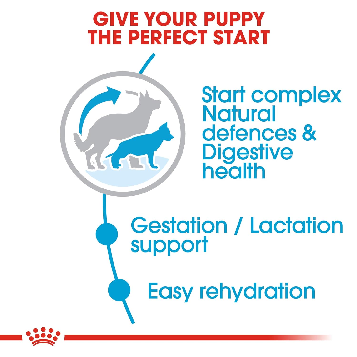 ROYAL CANIN MAXI STARTER PELLET DOG FOOD, MEAT FLAVOUR 4 KG