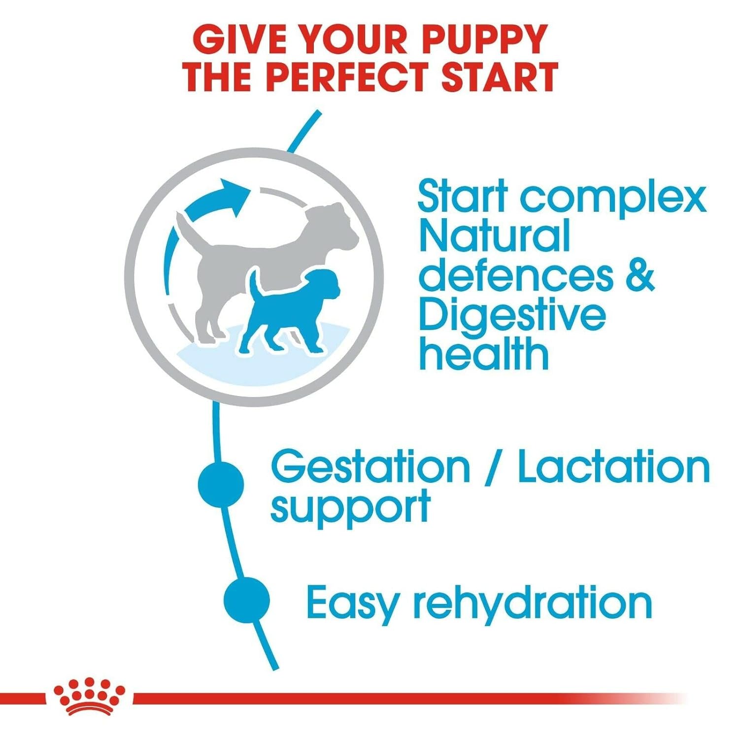 ROYAL CANIN ADULT & BABY MINI STARTER PELLET DOG FOOD, MEAT FLAVOUR, 4 KG