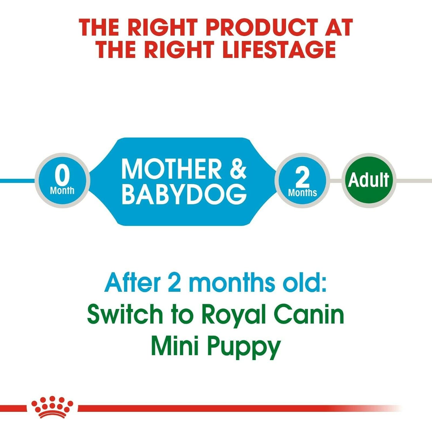 ROYAL CANIN ADULT & BABY MINI STARTER PELLET DOG FOOD, MEAT FLAVOUR, 4 KG